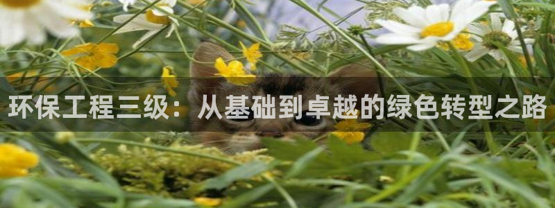 彩名堂app官方下载：环保工程三级：