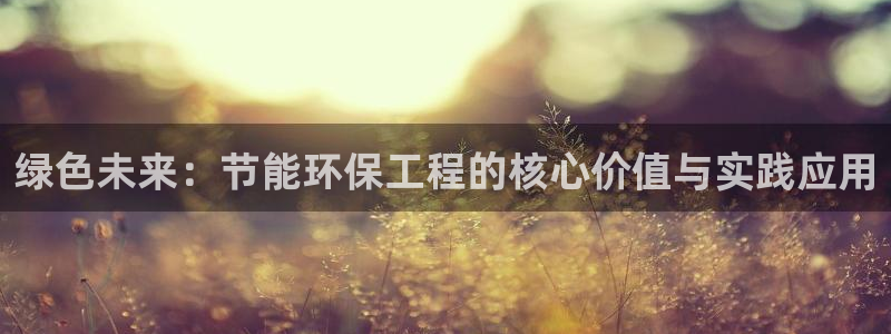 彩名堂为什么用不了了：绿色未来：节能