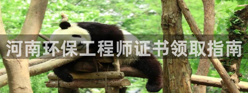 彩名堂还能用吗：河南环保工程师证书领