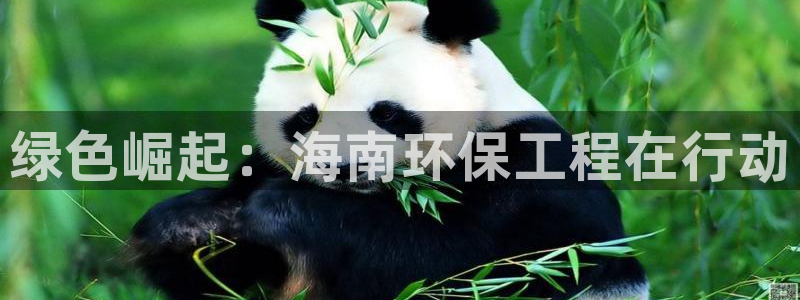 彩名堂和01计划哪个好：绿色崛起：海南环保工程在行动