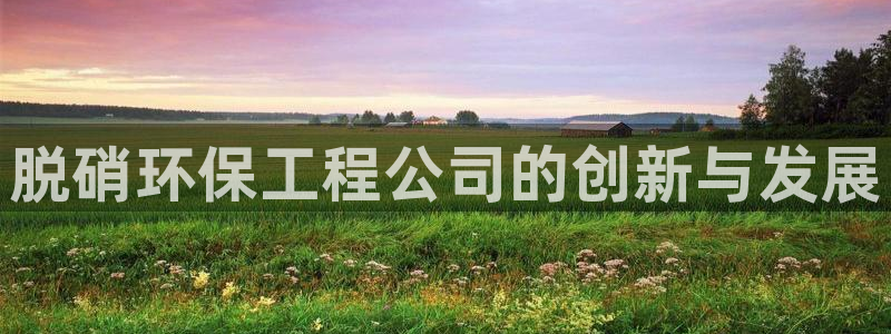 彩名堂人工计划客户端：脱硝环保工程公司的创新与发展