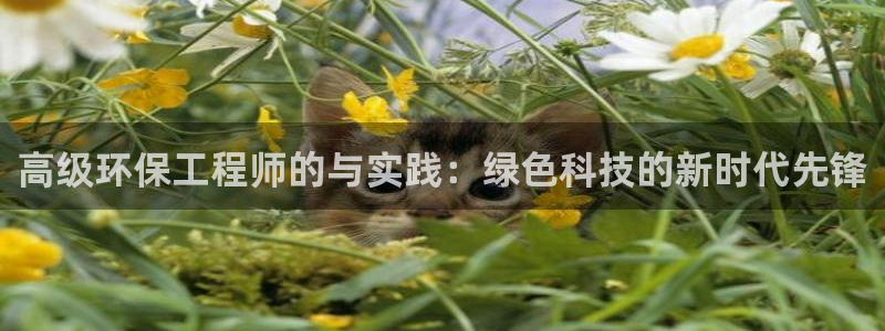 彩名堂官网客户端：高级环保工程师的与实践：绿色科技的新时代先