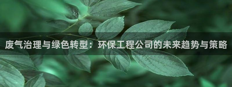 彩名堂计划怎么打不开了：废气治理与绿