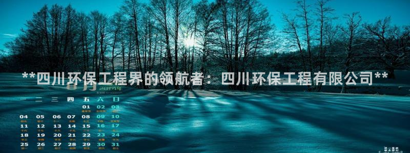 老版彩名堂：**四川环保工程界的领航