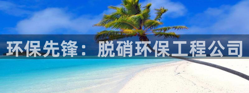 彩名堂客服：环保先锋：脱硝环保工程公