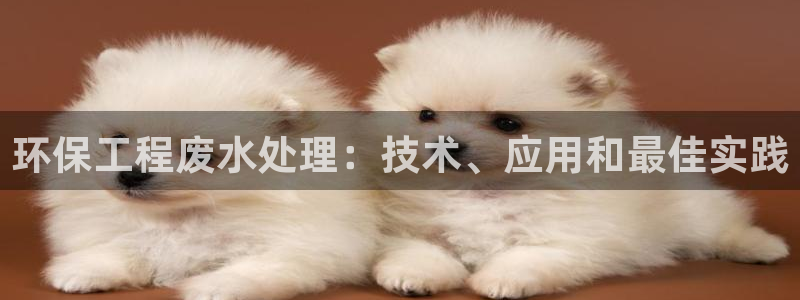 彩名堂最新预测3d：环保工程废水处理