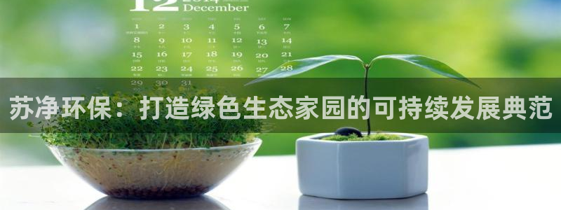 彩名堂官网计划客户端：苏净环保：打造