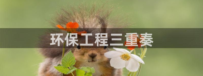 彩名堂免费计划亮点：环保工程三重奏