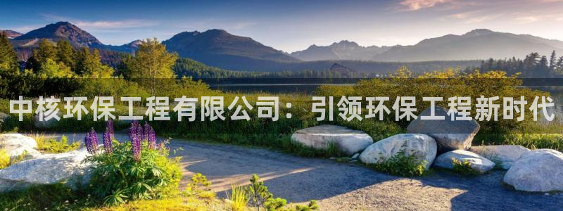 彩名堂用不了：中核环保工程有限公司：