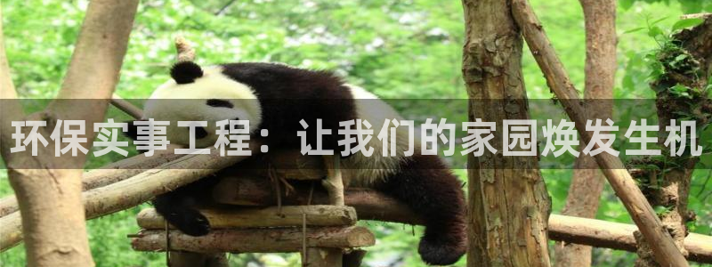 彩名堂app彩名堂客户端：环保实事工