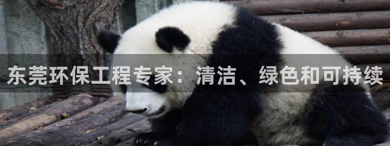 彩名堂跟哪种最好用：东莞环保工程专家