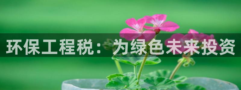 彩名堂苹果客户端怎么下载：环保工程税