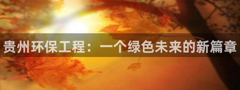 彩名堂怎么打最稳：贵州环保工程：一个