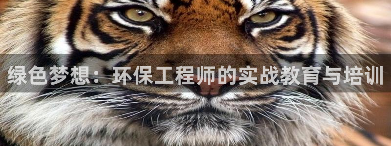 彩名堂v1.0.6：绿色梦想：环保工