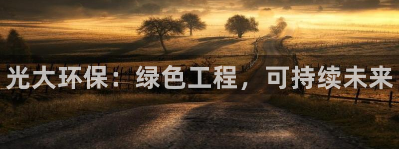 彩名堂app官方网址是多少：光大环保：绿色工程，可持续未来