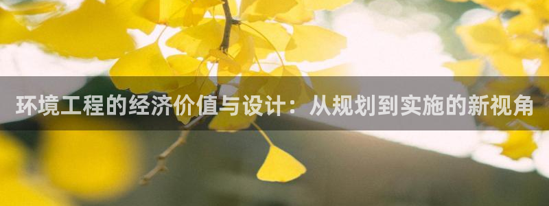 彩名堂手机客户端：环境工程的经济价值与设计：从规划到实施的新