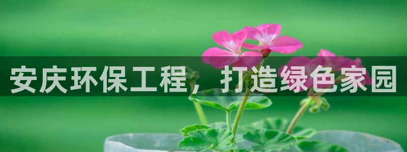 彩名堂免费计划官网怎么进不去了呀：安庆环保工程，打造绿色家园